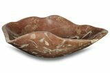 Polished Fossiliferous Red Stone Vessel Sink - Morocco #257272-1